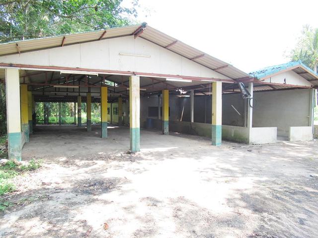 ใช่ 💟 บ้านเดี่ยว พุนพิน 💟 รูปที่ 4