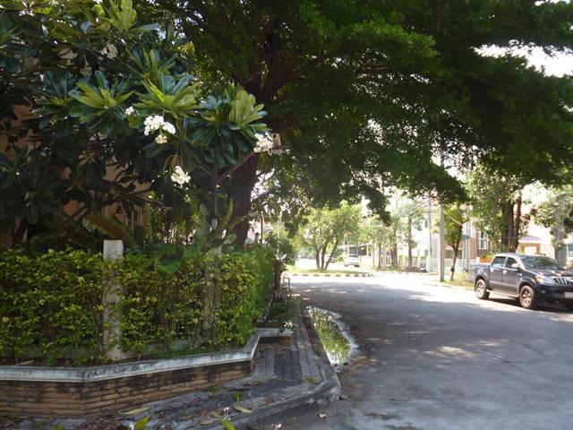 ใช่ 💟 บ้านเดี่ยว โครงการลลิล อินเดอะพาร์ค เทพารักษ์ 💟 รูปที่ 4