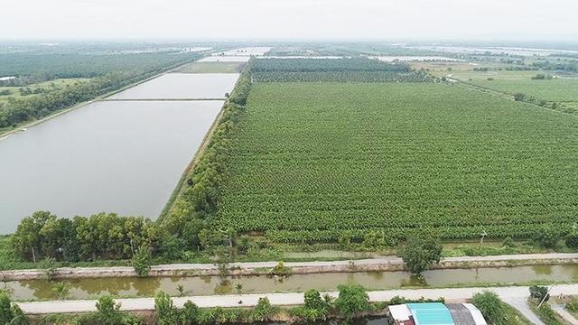 ใช่ 💟 บ้านเดี่ยว หนองแค สระบุรี 💟