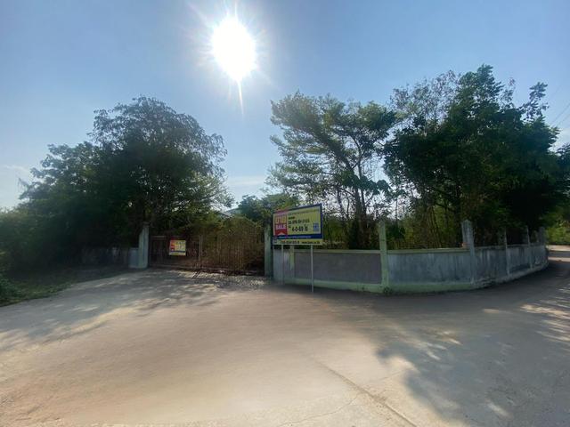 ใช่ 💟 บ้านเดี่ยว เดิมบางนางบวช สุพรรณบุรี 💟