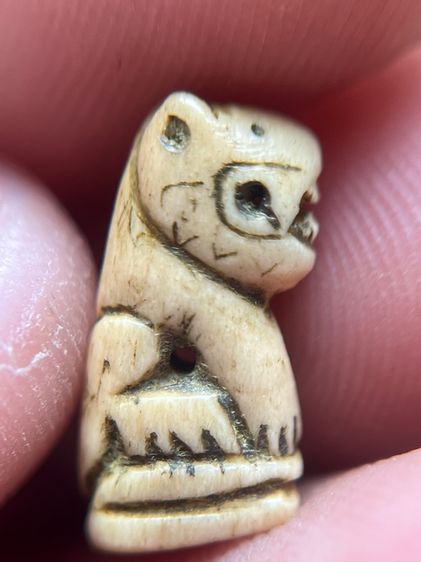 เสือ (มีสินค้าหลายรายการกดเข้ามาดูในโปรไฟล์ได้เลยครับ)