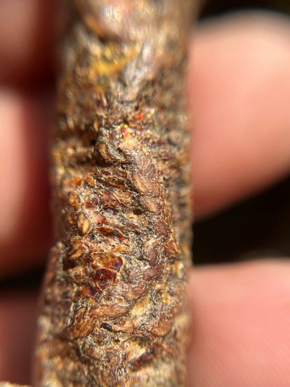 เปิดตะกรุดตะกั่วจรเข้ขบฟัน3.8นิ้วไม่ทราบที่ เนื้อตะกั่ว(มีสินค้าหลายรายการกดเข้ามาดูในโปรไฟล์ได้เลยครับ) รูปที่ 10