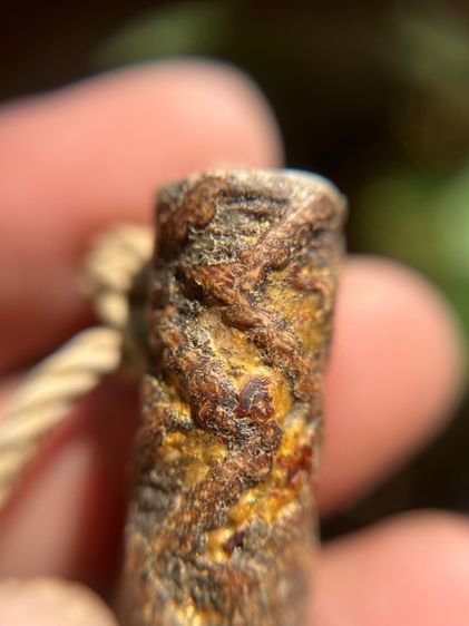 เปิดตะกรุดตะกั่วจรเข้ขบฟัน3.8นิ้วไม่ทราบที่ เนื้อตะกั่ว(มีสินค้าหลายรายการกดเข้ามาดูในโปรไฟล์ได้เลยครับ) รูปที่ 3