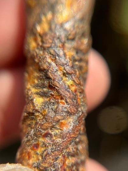 เปิดตะกรุดตะกั่วจรเข้ขบฟัน3.8นิ้วไม่ทราบที่ เนื้อตะกั่ว(มีสินค้าหลายรายการกดเข้ามาดูในโปรไฟล์ได้เลยครับ) รูปที่ 9