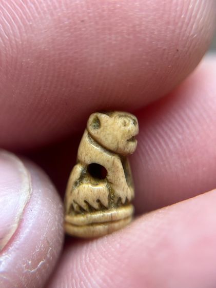 เสือ (มีสินค้าหลายรายการกดเข้ามาดูในโปรไฟล์ได้เลยครับ)