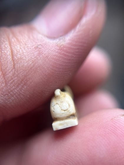 กระต่ายปีนักษัตรไม่ทราบที่ รูปที่ 6