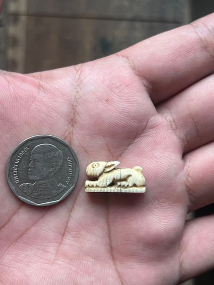 กระต่ายปีนักษัตรไม่ทราบที่ รูปที่ 7