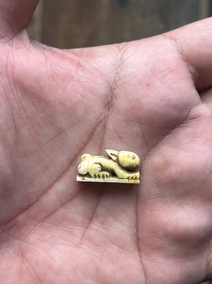 กระต่ายปีนักษัตรไม่ทราบที่ รูปที่ 8