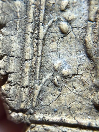 พระสมเด็จพิมพ์ปางไสยาสไม่ตัดปีก รูปที่ 16