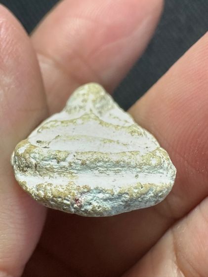 พระปิดตาผง ไม่ทราบที่ รูปที่ 5