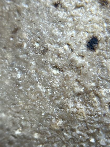 พระสมเด็จวัดระฆังพิมพ์ใหญ่ รูปที่ 12