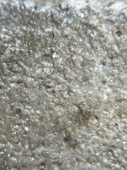 พระสมเด็จวัดระฆังพิมพ์ใหญ่ รูปที่ 15