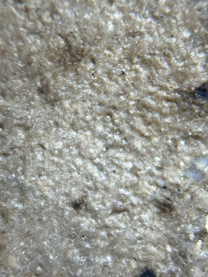 พระสมเด็จวัดระฆังพิมพ์ใหญ่ รูปที่ 14