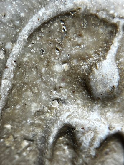 พระสมเด็จวัดระฆังพิมพ์ใหญ่ รูปที่ 6