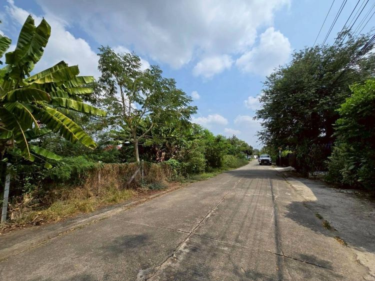 ขายด่วนที่ดิน 225 ตรว ติดถนนคอนกรีตสาธารณะ หมู่บ้านบางใหญ่การ์เด้น บางใหญ่ นนทบุรี รูปที่ 3