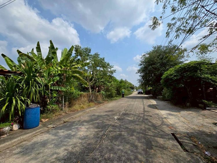 ขายด่วนที่ดิน 225 ตรว ติดถนนคอนกรีตสาธารณะ หมู่บ้านบางใหญ่การ์เด้น บางใหญ่ นนทบุรี รูปที่ 2