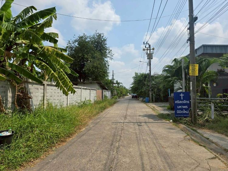 ขายด่วนที่ดิน 225 ตรว ติดถนนคอนกรีตสาธารณะ หมู่บ้านบางใหญ่การ์เด้น บางใหญ่ นนทบุรี  รูปที่ 4