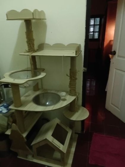 บ้านน้องแมว รูปที่ 5