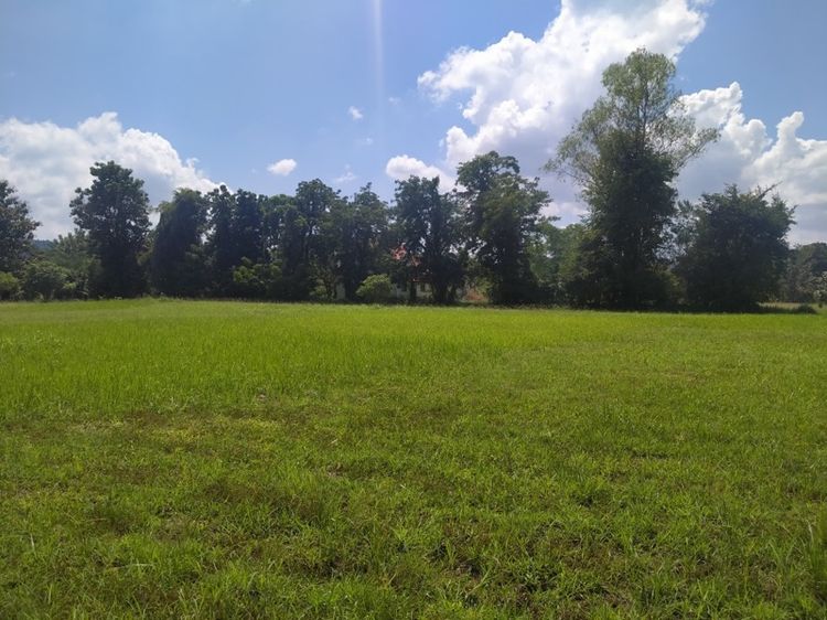 ไม่ใช่ ที่ดืนเปล่า รูปที่ 2