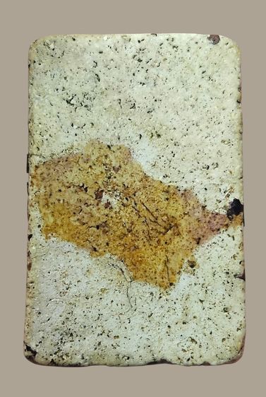 พระสมเด็จ รูปที่ 6