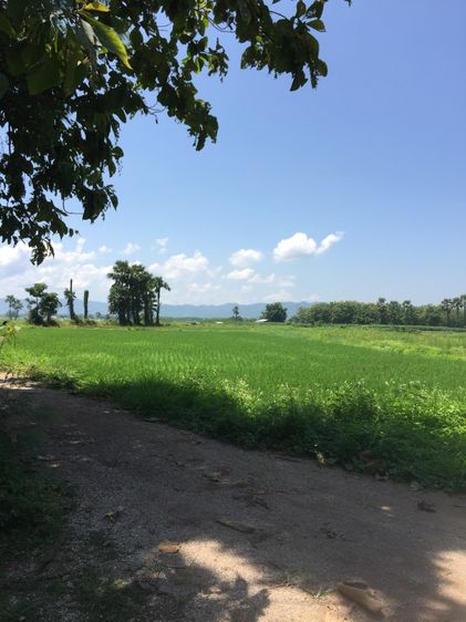 ขายที่ดิน1ไร่3งาน 58 ตรว บ้านหลุก ตำบลนาครัว อำเภอแม่ทะ จังหวัดลำปาง  รูปที่ 4