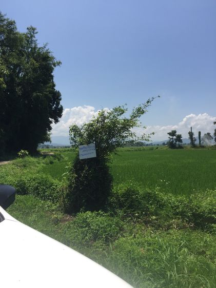 ขายที่ดิน1ไร่3งาน 58 ตรว บ้านหลุก ตำบลนาครัว อำเภอแม่ทะ จังหวัดลำปาง 