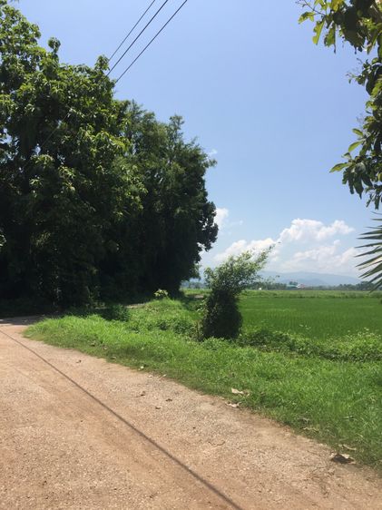 ขายที่ดิน1ไร่3งาน 58 ตรว บ้านหลุก ตำบลนาครัว อำเภอแม่ทะ จังหวัดลำปาง  รูปที่ 2