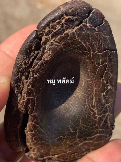 เครื่องราง รูปที่ 10