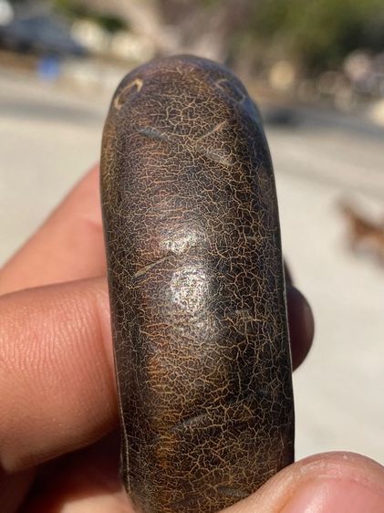 เครื่องราง งูกินหาง รูปที่ 9