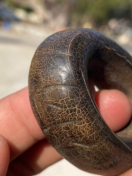 เครื่องราง งูกินหาง รูปที่ 6