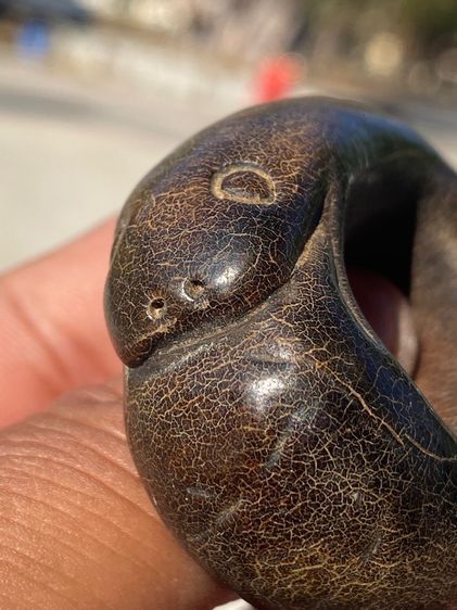 เครื่องราง งูกินหาง รูปที่ 11