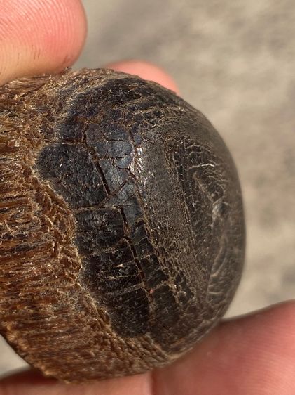 เครื่องรางเก่า รูปที่ 14