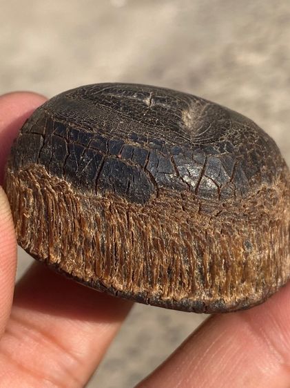 เครื่องรางเก่า รูปที่ 15