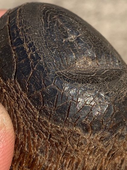 เครื่องรางเก่า รูปที่ 3