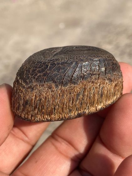 เครื่องรางเก่า รูปที่ 17