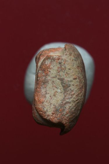 พระรอดลำพูนสวยๆค่ะเก่าค่ะ รูปที่ 5