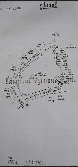 ขายด่วน ที่ดินพร้อมบ้าน 2 ไร่ 85 ตรว มีบ่อให้เลี้ยงปลา มีแอร์ในตัวบ้านทั้งสองหลัง บรรยากาศร่มรื่น ร่มเย็น พื้นที่ใช้สอยเยอะ
