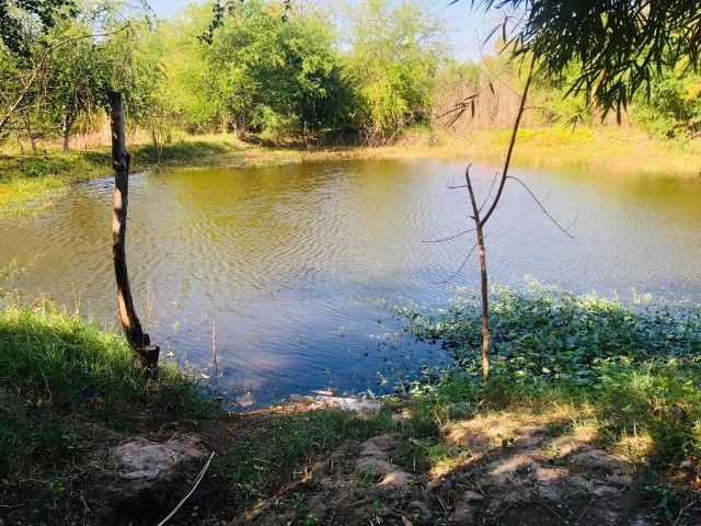 ขายด่วน ที่ดินพร้อมบ้าน 2 ไร่ 85 ตรว มีบ่อให้เลี้ยงปลา มีแอร์ในตัวบ้านทั้งสองหลัง บรรยากาศร่มรื่น ร่มเย็น พื้นที่ใช้สอยเยอะ รูปที่ 3