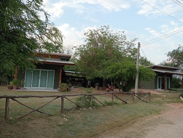 ขายด่วน ที่ดินพร้อมบ้าน 2 ไร่ 85 ตรว มีบ่อให้เลี้ยงปลา มีแอร์ในตัวบ้านทั้งสองหลัง บรรยากาศร่มรื่น ร่มเย็น พื้นที่ใช้สอยเยอะ รูปที่ 2