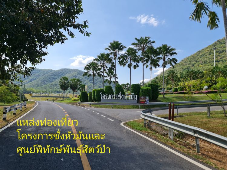 ขายถูกที่ดินวิวเขา 3 ไร่ ติดถนน น้ำไฟ เพชรบุรี รูปที่ 4