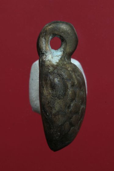 เต่าเรือนสวยๆค่ะเก่าค่ะ รูปที่ 3