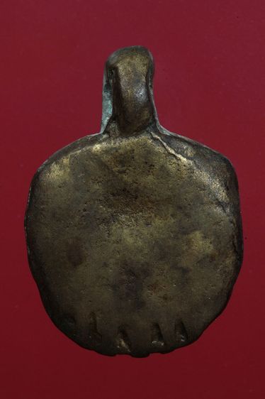 เต่าเรือนสวยๆค่ะเก่าค่ะ รูปที่ 2