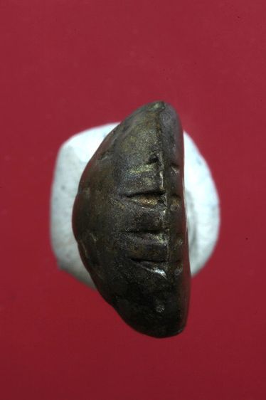 เต่าเรือนสวยๆค่ะเก่าค่ะ รูปที่ 5