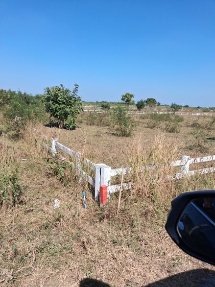 ขายที่ดิน อ.อู่ทอง สุพรรณบุรี รูปที่ 3