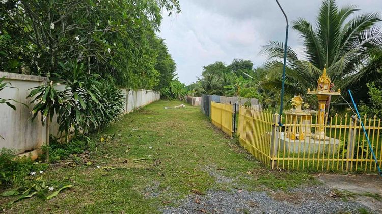 ขายที่ดินเปล่า 1-2-64 ไร่ ใกล้สนามไดรฟ์กอล์ฟบ้านสน อ.เมือง จ.สุราษฎร์ธานี รูปที่ 2