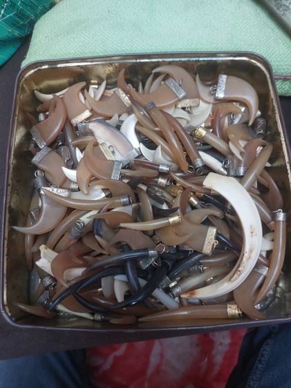 เครื่องลางทำจากเขาควายดำ-เผือก รูปที่ 3