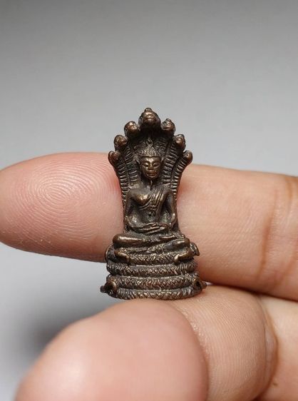 พระนาคปรกหลวงพ่อเจ็ดกษัตริย์ 