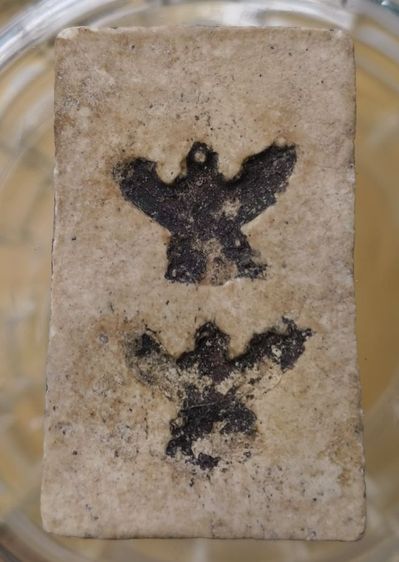 พระสมเด็จพิมพ์ใหญ่คมสวยค่ะ(1) รูปที่ 16