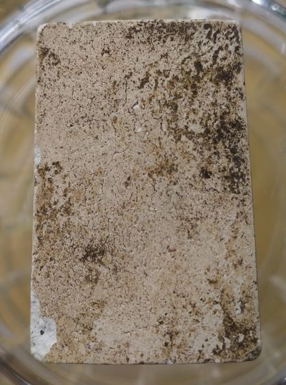 สมเด็จวัดระฆังพิมพ์ใหญ่เนื้อเก่าค่ะ(3) รูปที่ 18