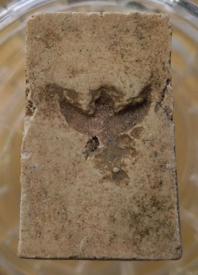 พระสมเด็จวัดระฆังพิมพ์ใหญ่เนื้อเก่าค่ะ(7) รูปที่ 6